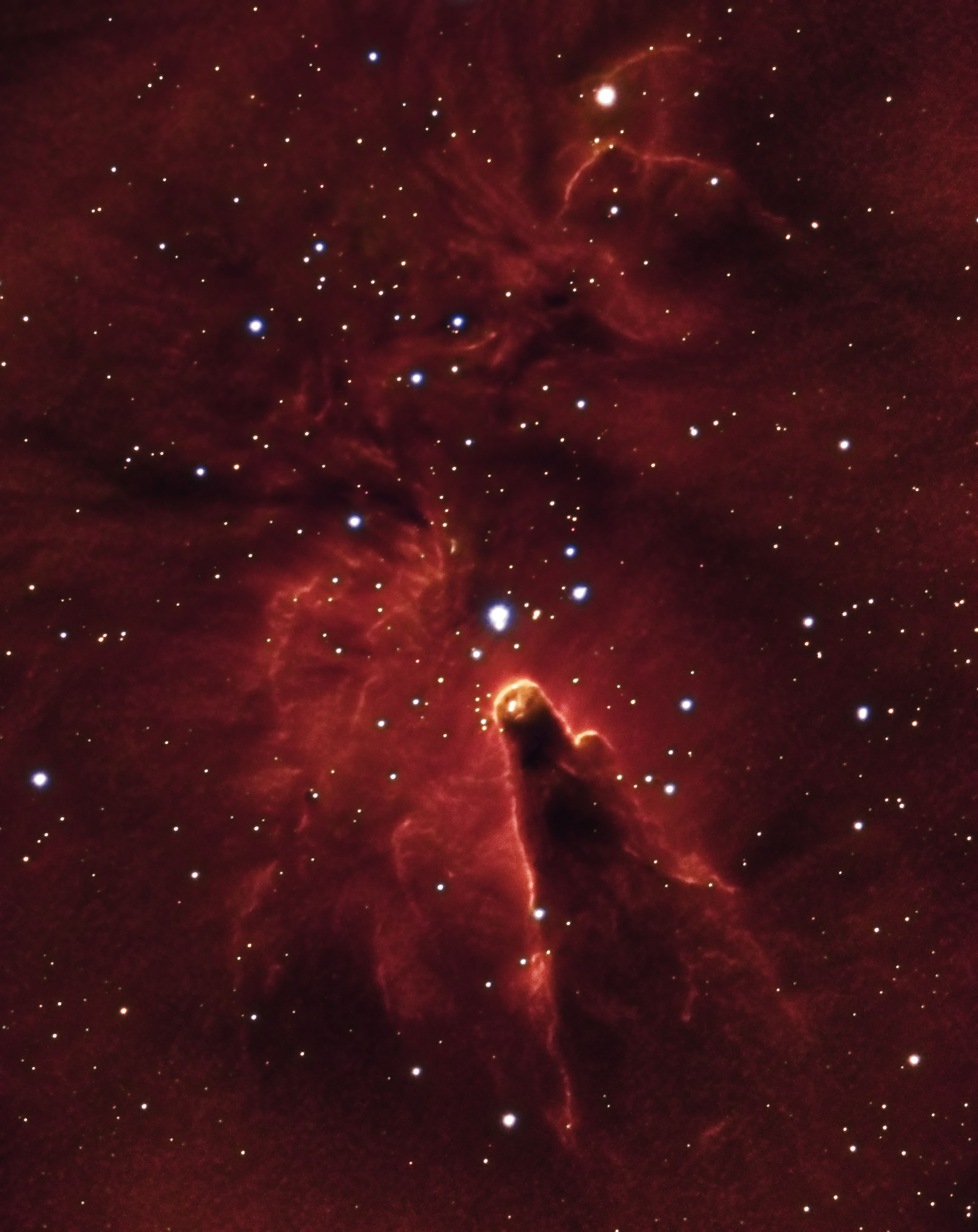 NGC2264_170120_Hautevillelès Dijon_Patrice_Renaut.jpg